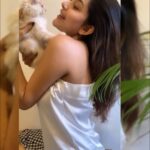 Mahima Nambiar Instagram - Meoww 🐈 Don’t grow up too fast !! #meow #cats #kittens #dontgrowuptoofast #catmama