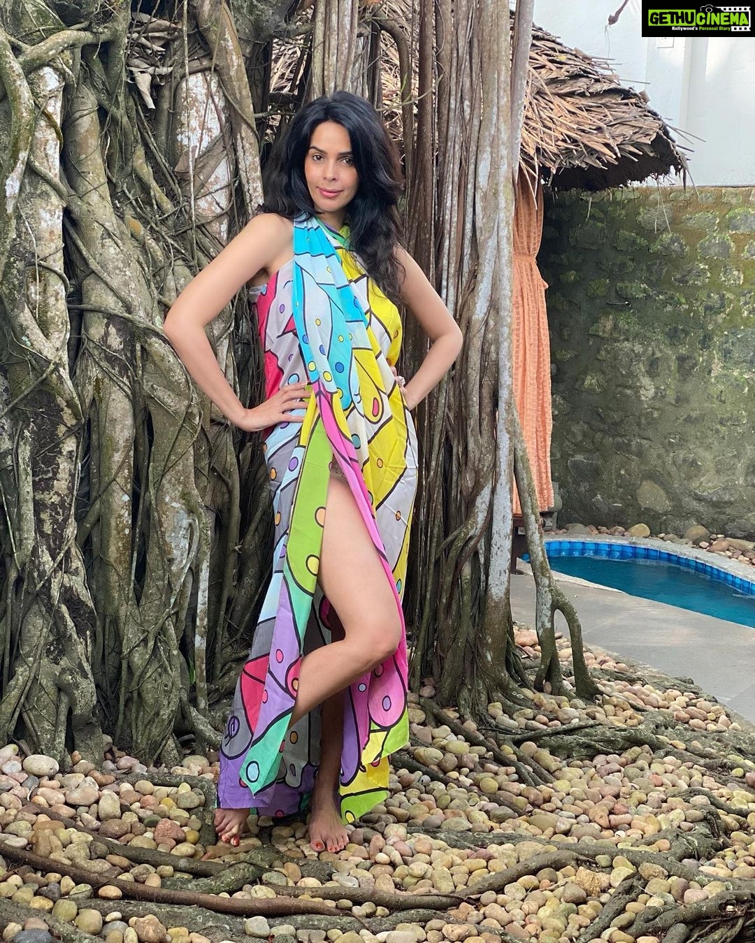 Mallika Sherawat Instagram - I’m present & thankful for all things, for the heart that gives is a happy one 🌹 . . . . . . . . . . . . . . . . . . . . . . . . . . #happyholidayseason #holidaysmood #holidayseason #happyholidays #christmaseve #holidayspirit #holidaystyle #naturalhealing #healthychoices #healthylife #emotionalwellness #liveinspired #dayspa #spa #spalife #pampering #beautytherapy #sauna #spatreatments #happyheart #happyplace #happythoughts #happyvibes #relaischateaux #luxuryretreats #canon5dmarkiv #canoncamera #ayurvedalife Kerala