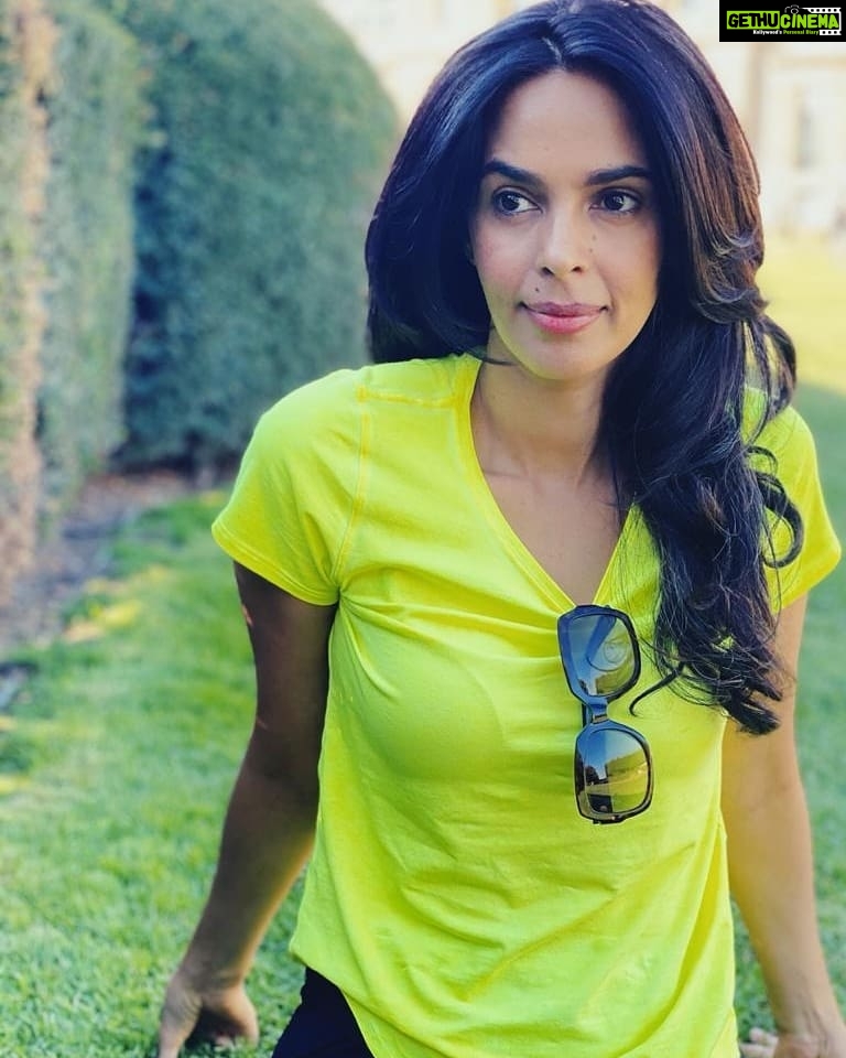 Mallika Sherawat Instagram - Green is the colour of hope! Wishing my instafam, a week full of love n kindness🍵🧘🏼♀️👧🏼❤️ #mondaythoughts #mondaymotivation #positivevibes #positivemind #mondaymantra #lovemylife💕 #loveisallyouneed #greenery🌿