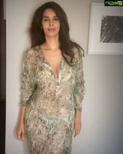 Mallika Sherawat Instagram - The best is yet to come ✨ 
.
.
.
.
.
.
.
.
.
.
 #flowersoftheday #flowerlovers #alwayssmile #flowersoftheday #floralart #lovevibes