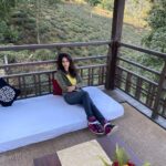 Mallika Sherawat Instagram - Far from the madding crowd . . . . . . . . . . #healthymindset #lifeisbeautiful #wildplanet #jungle #goodenergy #onelife #spreadlove #alwaysforward #headup #staystylish #loveyouall #planetearth #getoutside #abcmyphoto #respect #earthlovers #treeoflife #wildnature #escape #wildlife #tree #world #junglevibes #jungletravel #positivethoughts #inspirational #positivenergy #canon5dmarkiv Darjeeling