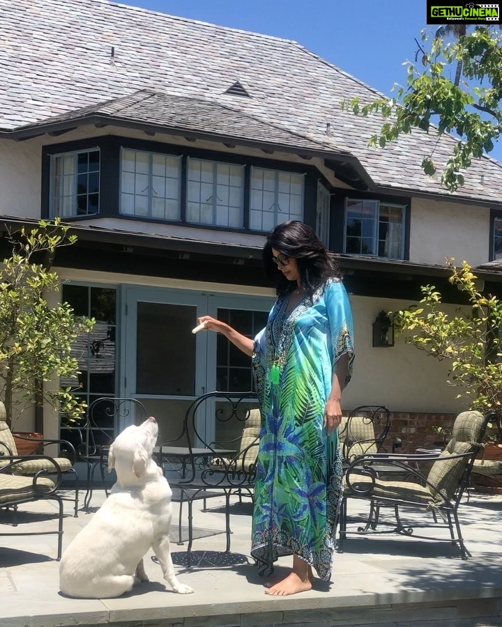 Mallika Sherawat Instagram - 🐶🐶 . . . . . . . . . . . . #happiness #positivemindset #decisions #joyinthejourney #doglove #confidence #positivemind #positiveaffirmations #liveinthemoment #thinking #positive #exploreyourself #optimism #better #natural #goodenergy #respect #onelife #up #reachout #inward #listening #relate #wonder #contemplating #alliswell #deepbreaths #blessings #stillblessed #leadwithlove Los Angeles, California
