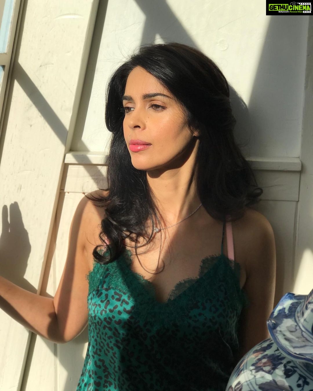 Mallika Sherawat Instagram - π§ββοΈπ§ββοΈ . . . . . . . . . . . . . #positivemindset #liveyourbestlife #raiseyourvibration #goodenergy #abundancemindset #positivemood #embracelife #shineyourlight #mylookoftheday #makeuptime #glamour #styleoftheday #beauty #fashiontips #glamourshots #glamourphotography #glamorous #beautymakeup #glammakeup #happylife #onlygoodvibes #liveinthemoment #coolday #sigmaphoto #nikoncamera Los Angeles, California