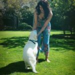 Mallika Sherawat Instagram – Love playing with Lily! 🐾🐶
👗@zimmermann 

.
.
.
.
.
.
.

#positivemindset #liveyourbestlife #raiseyourvibration #goodenergy #abundancemindset #positivemood #embracelife #shineyourlight #summeroutfitideas #fashionmoment #summerdress #mylookoftheday #elegantdresses #bluedress #classyoutfit #outfitgram #elegantdress #designerfashion #nikon50mm #petlove #relaxing # chillout #zimmerman #zimmermandress #optimism #natural #blessings #dogsofinstagram #leadwithlove Los Angeles, California