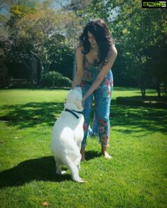 Mallika Sherawat Instagram - Love playing with Lily! 🐾🐶
👗@zimmermann 

.
.
.
.
.
.
.

#positivemindset #liveyourbestlife #raiseyourvibration #goodenergy #abundancemindset #positivemood #embracelife #shineyourlight #summeroutfitideas #fashionmoment #summerdress #mylookoftheday #elegantdresses #bluedress #classyoutfit #outfitgram #elegantdress #designerfashion #nikon50mm #petlove #relaxing # chillout #zimmerman #zimmermandress #optimism #natural #blessings #dogsofinstagram #leadwithlove