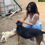 Malvika Sharma Instagram – 🐶 This is how I spent my birthday this year ❤️
@thebabyelephantfarm