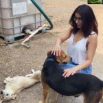 Malvika Sharma Instagram - 🐶 This is how I spent my birthday this year ❤️ @thebabyelephantfarm