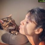 Mamta Mohandas Instagram - I meow you too my Mowgli 🐈💋 #meow #kittykisses #youarebeautiful #home #losangeles