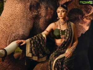 Mamta Mohandas Instagram - We are born into this life because we are strong enough to live it. 

Presenting Manorama Online Joyalukkas Calendar App Photo shoot powered by Fashion Monger Productions.
Download - www.manoramaonline.com/calendar

Concept and Direction : @fashionmongerachu 
Photography : @tijojohnphotography 
Fashion Designer and Stylist :  @amrutha_c_r 
Makeup : @avinash_s_chetia 
Jewellery :@joyalukkas 
Image retouching: @finalvisuals
Product Manager: @aminseethy
Project Developer : @rockymartintom
Project Support :@anishjeeva2010
Project Head :@santhoshgeorgejacob

#manoramaonline
#joyalukkas
#fashionmonger
#manoramacalendar
#mobileapp
#happybirthday 
#mamtamohandas