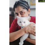 Manjima Mohan Instagram – All you need is love…and a cat ❤

#lokithegodofmischief #mylove #obsessed