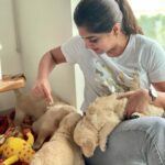 Meera Nandan Instagram – Play date with Bella’s puppies 🐶 
Couldn’t get enough of them 🥺😍♥️😘
@ash.abhay you’re a rockstar ♥️✨

.

#bellalove #goldenretriever #doglover #suchcuties #10puppies #bellaskids #unconditional #playdate #love #positivevibes #dubaidogs #loveem #dubai Sobha Hartland Dubai