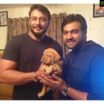 Meghana Raj Instagram - Good morning and a very happy sunday all!! Finally revealing who it is! Darshan sir is a very special family member to us! This lil baby bear is our small token of gratitude to this magnanimous man for his constant support and love towards us 🙏🏻 @darshanthoogudeepashrinivas
