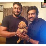 Meghana Raj Instagram – Good morning and a very happy sunday all!! Finally revealing who it is! Darshan sir is a very special family member to us! This lil baby bear is our small token of gratitude to this magnanimous man for his constant support and love towards us 🙏🏻 @darshanthoogudeepashrinivas