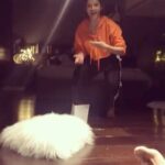 Mehreen Pizada Instagram - Day 30 of lockdown and it’s been a while I haven’t done anything stupid 🤪 So here’s a throwback to a paper challenge gone horribly wrong 😂 @gurfatehpirzada @namira.k @auchi7 #MehreenIsTheBest exclusive diaries 😎