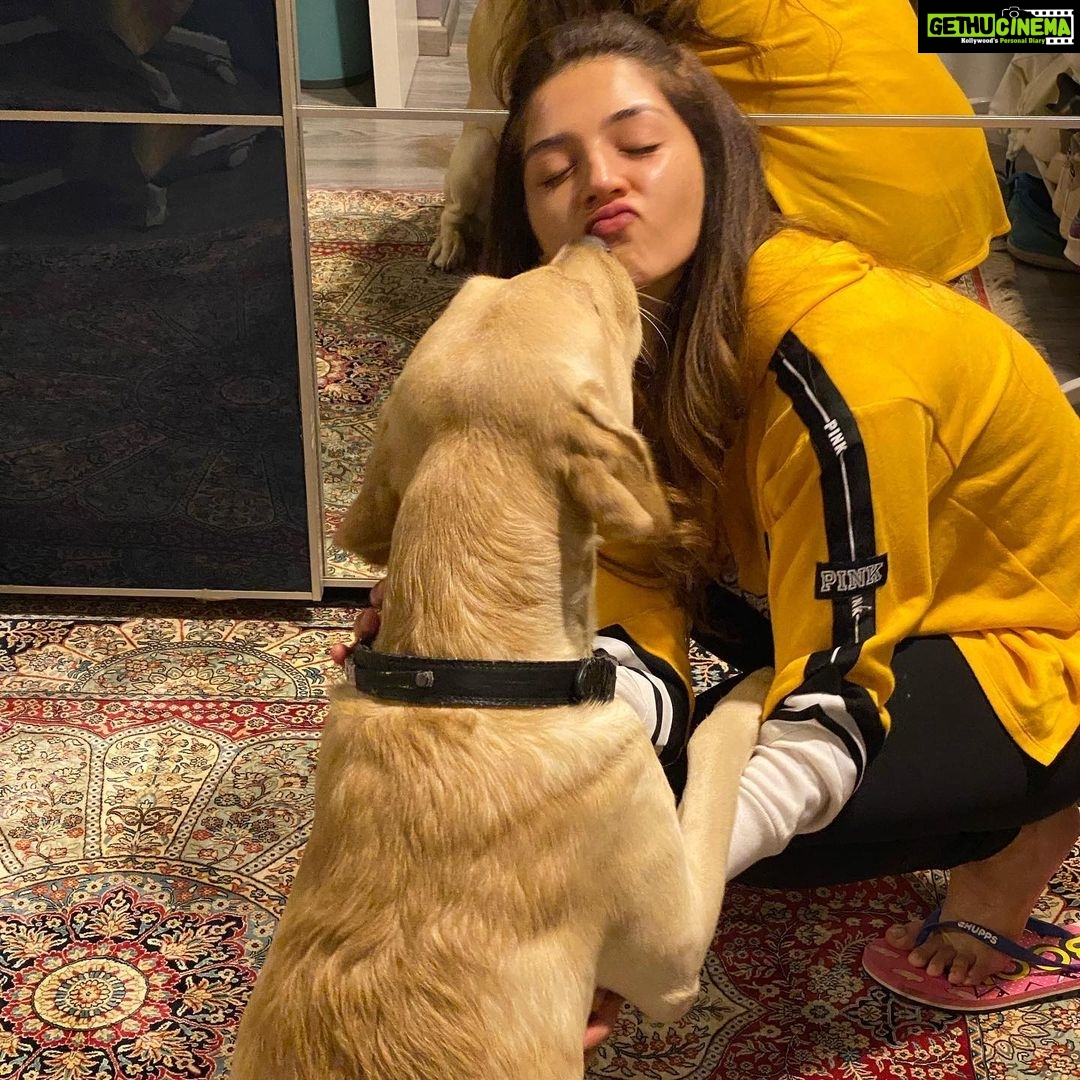 Mehrene Kaur Pirzada Instagram - My bundle of joy 🥰 @berlinpirzada