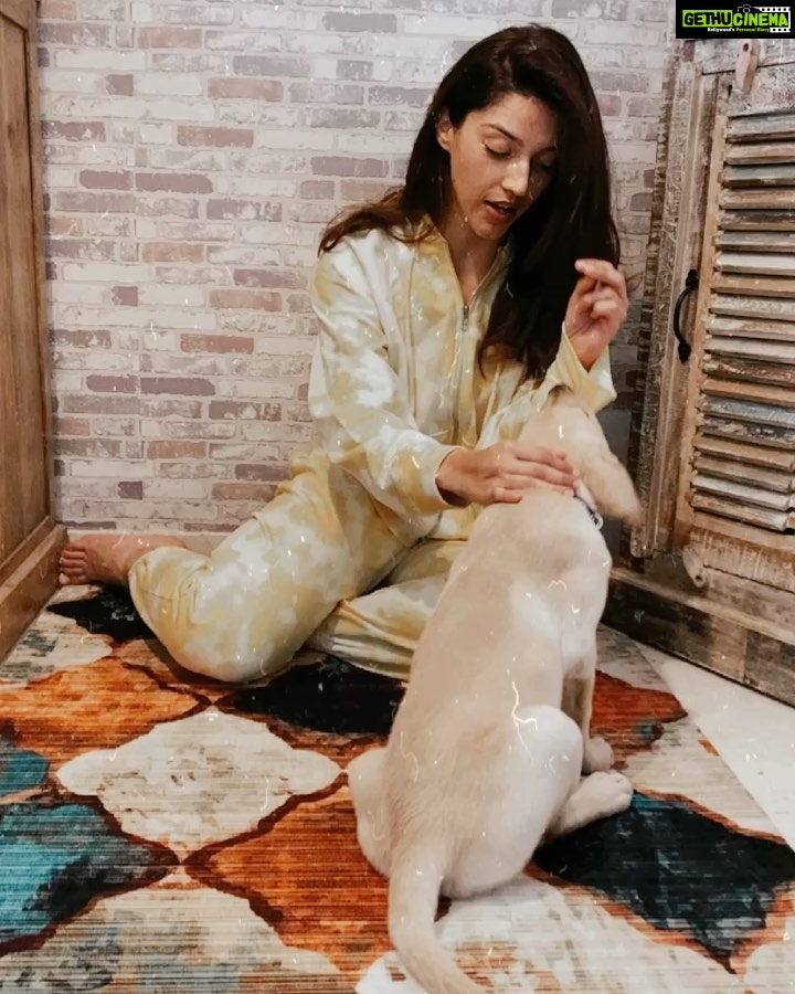 Mehrene Kaur Pirzada Instagram - Play time with @berlinpirzada 🥰🥰🥰