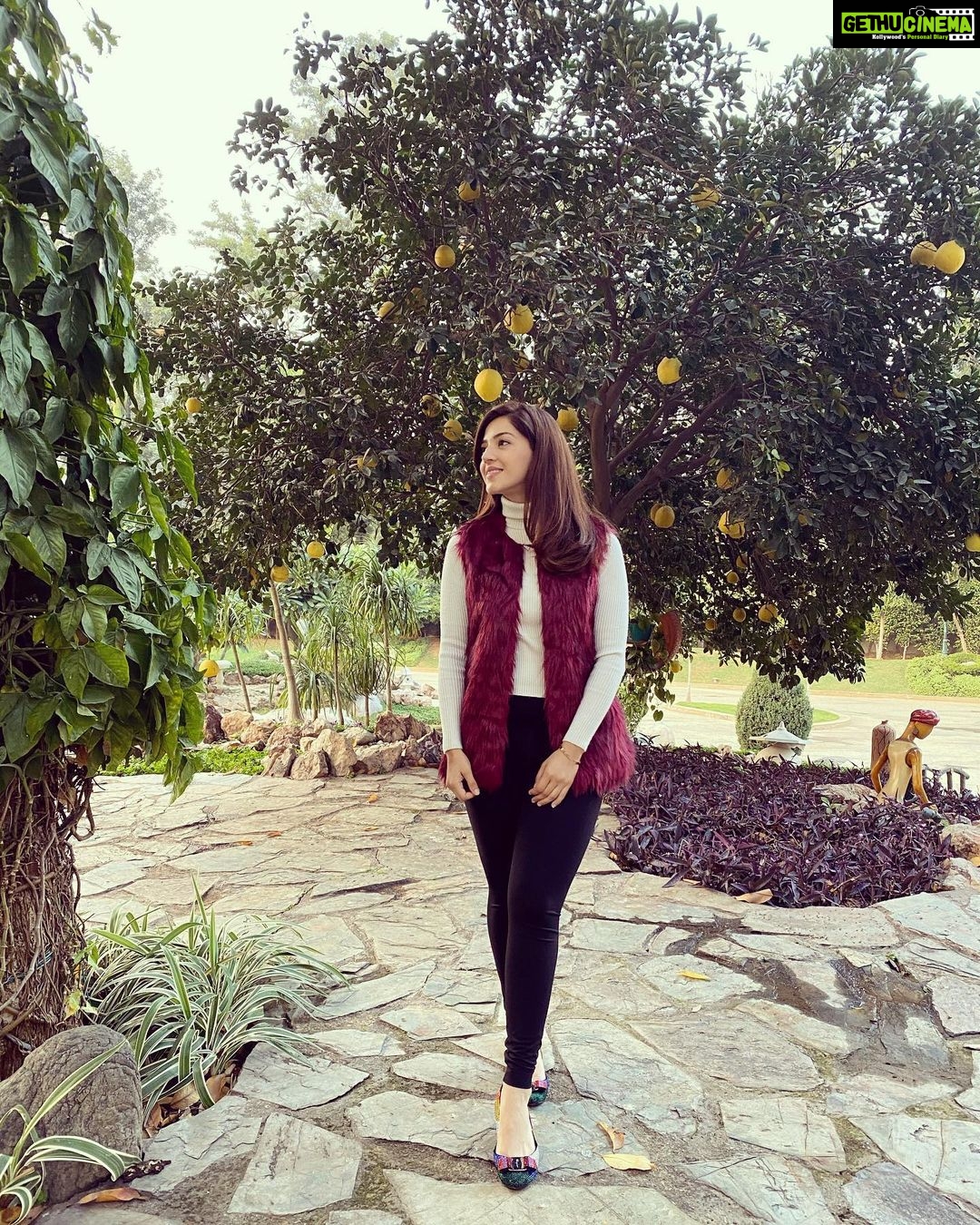 Mehrene Kaur Pirzada Instagram - #wintervibes ❄️