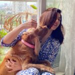 Mehrene Kaur Pirzada Instagram – Morning cuddles 🥰