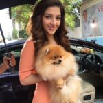 Mehrene Kaur Pirzada Instagram – Shooting with this cutie 😍