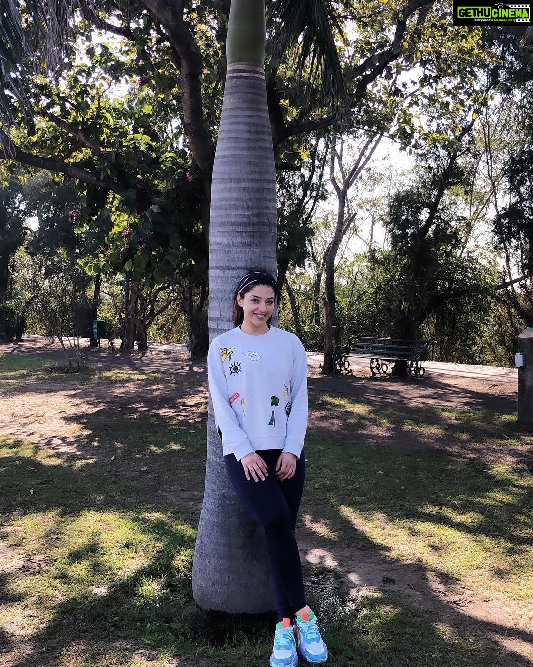 Mehrene Kaur Pirzada Instagram - Chandigarh Mornings 🥰