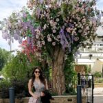 Mehrene Kaur Pirzada Instagram – Different shades of roses same like different colors of life 🤩