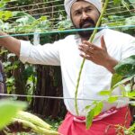 Mohanlal Instagram – Organic Farming at Home
.
.
.
.
.
#irganic #organicfood #organicfarming #farming #farm #organicvegetables