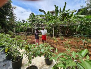 Mohanlal Instagram - Organic Farming at Home
.
.
.
.
.
#irganic #organicfood #organicfarming #farming #farm #organicvegetables