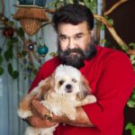 Mohanlal Instagram - Bailey ❤️ 🐶 . . . #bailey #petsofinstagram #petstagram #lockdown