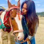 Monal Gajjar Instagram - Animal lover me 😇🥰🐎 🐶 🐎🥰😇 Thank you @akhilsarthak_official for beautiful edit of my pic 😇🤗😇 #animallovers #holiday #love #happy #actor #mylife #monalgajjar #imqueen👸🏻👑