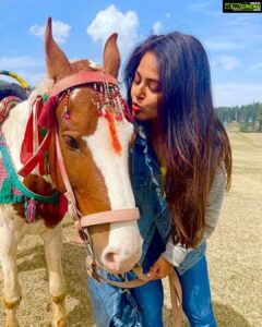 Monal Gajjar Instagram - Animal lover me 😇🥰🐎 🐶 🐎🥰😇

Thank you @akhilsarthak_official  for beautiful edit of my pic 😇🤗😇

#animallovers #holiday #love #happy #actor #mylife 
#monalgajjar 
#imqueen👸🏻👑
