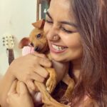 Mrudula Murali Instagram - Welcoming a new life into my life henceforth!! Meet Kadambari.. My kaadhu maaa...♥️ @nitin__vijay you surely know what a birthday surprise means to me!!! 100 brownie points for you!🤣😈 Kaadhumaa is named by her chithi Kithu @krithikaprabu ‘coz please look at her ears everyone😈🤩☺️♥️