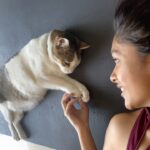 Mrunal Thakur Instagram - Stay (🐾)sitive . . . . . . @billoboythakur #besafe #quarantine #catsagram #instamood #cats #mood #aliciakeys #music At Home