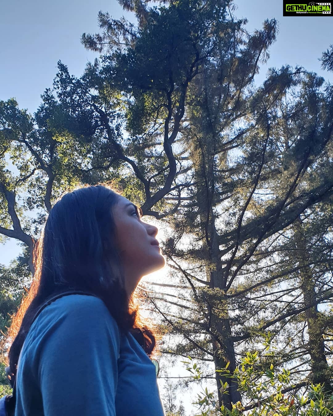 Mrunal Thakur Instagram - #nature #travel #traveller #sky #beautiful #peaceful #usa #unitedstates #lifegoals #silluette #instapic #picoftheday #instanature Santa Barbara Botanic Garden