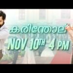 N. T. Rama Rao Jr. Instagram - #RRRSecondSinglePromo is here… Full song at 4 PM, Tomorrow. #NaatuNaatu #NaachoNaacho #NaattuKoothu #HalliNaatu #Karinthol #RRRMovie @ssrajamouli @alwaysramcharan @ajaydevgn @aliaabhatt @oliviakmorris @alison_doody @thondankani @dvvmovies @RRRMovie
