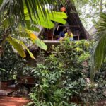 Nakshathra Nagesh Instagram - Such a happy start to 2022! @keethhouse was the perfect place for our one day getaway. A humble stay that felt like we were in the middle of a forest yet so close to buzz of Auroville. Thank you Shankar for being such a cool host. We will be back 🤗 #keethhouse #travelwithNR #newyear2022