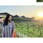 Namitha Instagram – Sun and Fun !🌝

#wolfguard 
#holiday
#unplannedtrip 
#wineanddine 
 
@sula_vineyards 

@m_v_chowdhary 🥂