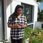 Namitha Instagram – Happy World Environment Day ! 🌍 🌻
At Home, enjoying our Homegrown Veggies !
Thank you  Hubbygaru @m_v_chowdhary 🥰

#worldenvironmentday 
#homegrown