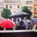 Nani Instagram – #umbrellas