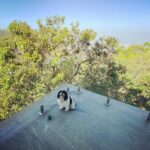 Nazriya Nazim Instagram - 🖤 Hills and Hues