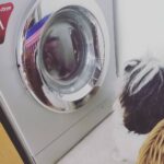 Nazriya Nazim Instagram - He is really worried about his soft toys that has gone in the machine ...pls notice my pupper's worried look on the washing machine....#pupper #loveislove#slylooks