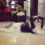 Nazriya Nazim Instagram - My big boy !!! Trivandrum, India