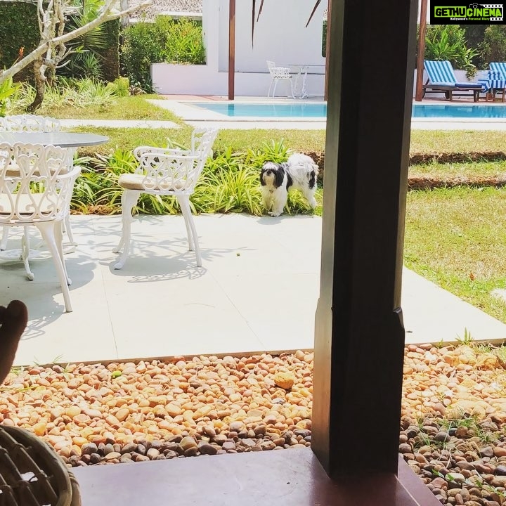 Nazriya Nazim Instagram - Happy Valentine’s Day allll ❤️❤️❤️🐶🐶🐶 Marari Beach Resort, CGH Earth