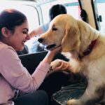 Nazriya Nazim Instagram - Missing Sam !!!! ☹️☹️☹️❤️#todayisthemissingday Ooty