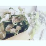 Nazriya Nazim Instagram - My little Oreo's first mannequin challenge 😘😍