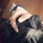 Nazriya Nazim Instagram - Pure love ............ #baby#falling asleep#oreo#puppy