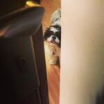 Nazriya Nazim Instagram - When I leave home .......breaks my heart 😒😒😒💔💔💔