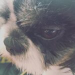 Nazriya Nazim Instagram - Me through his eyes ! 😍