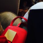 Nazriya Nazim Instagram -