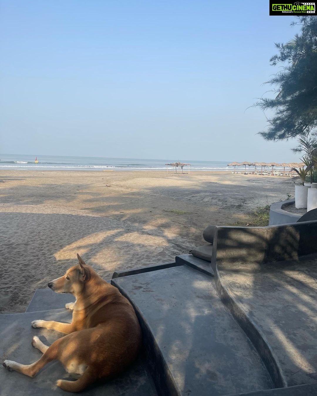 Neha Sharma Instagram - Vacation is over..but have decided to spam you with my vaccay pics till I run out😜