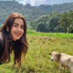 Nikki Galrani Instagram – Swipe to the end for something A-Moo-Zing ♥️✨ Coorg Madikeri